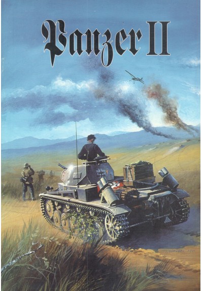 Panzer II (1)