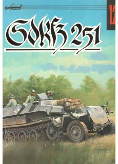 SDKFZ 251 (12)