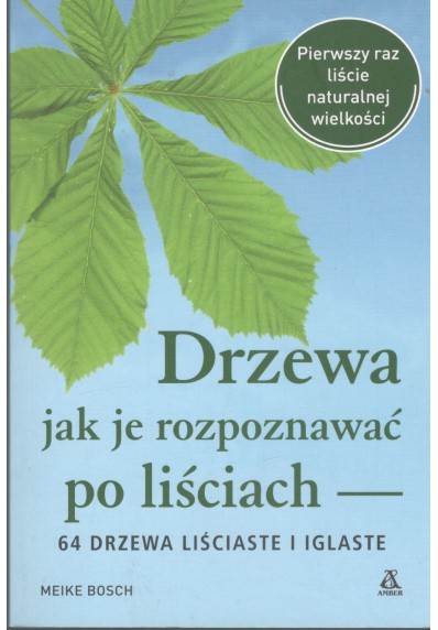 DRZEWA JAK JE ROZPOZNAWAĆ PO LIŚCIACH