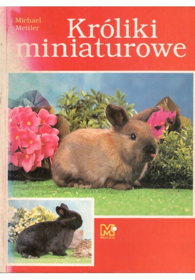 KRÓLIKI MINIATUROWE