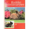 KRÓLIKI MINIATUROWE