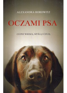 OCZAMI PSA