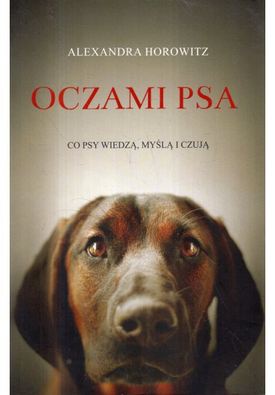 OCZAMI PSA