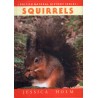 SQUIRRELS. BRITISH NATURAL HISTORY SERIES