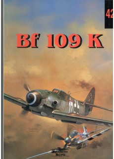 BF 109 K (42)
