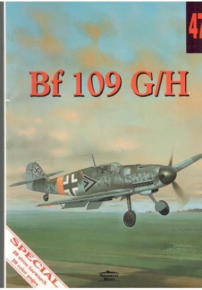 BF 109 G/H (47)