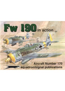 FW 190 (IN ACTION)