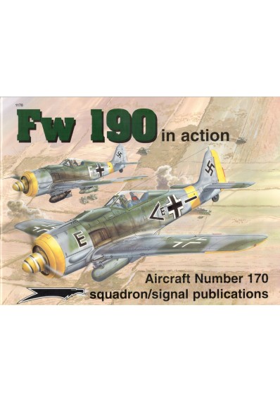 FW 190 (IN ACTION)