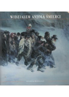 WIDZIAŁEM ANIOŁA ŚMIERCI