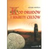 Kod Druidów i sekrety Celtów