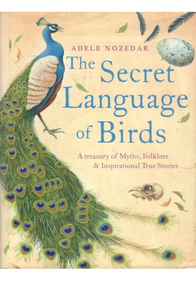 The Secret Language of Birds