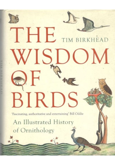 The Wisdom of Birds