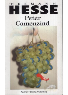 PETER CAMENZIND