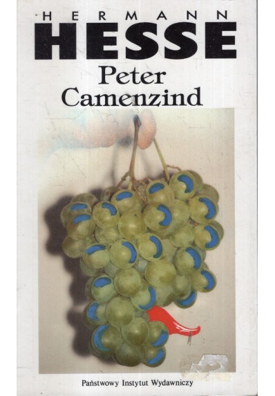 PETER CAMENZIND