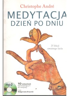 MEDYTACJA DZIEŃ PO DNIU