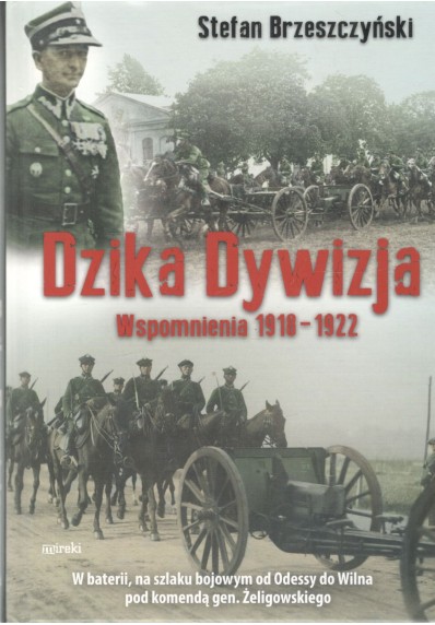 DZIKA DYWIZJA 1918 - 1922